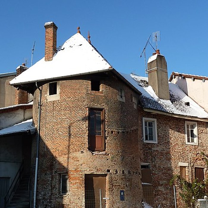 Photo de Tours Saint-Pierre-et-Saint-Paul de Louhans