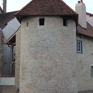 Tours Saint-Pierre-et-Saint-Paul de Louhans