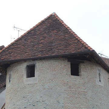 Tours Saint-Pierre-et-Saint-Paul de Louhans