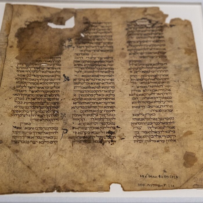 Photo de Musée de lInstitut du monde arabe