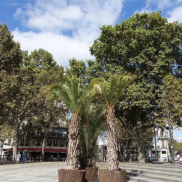 Musée de lInstitut du monde arabe