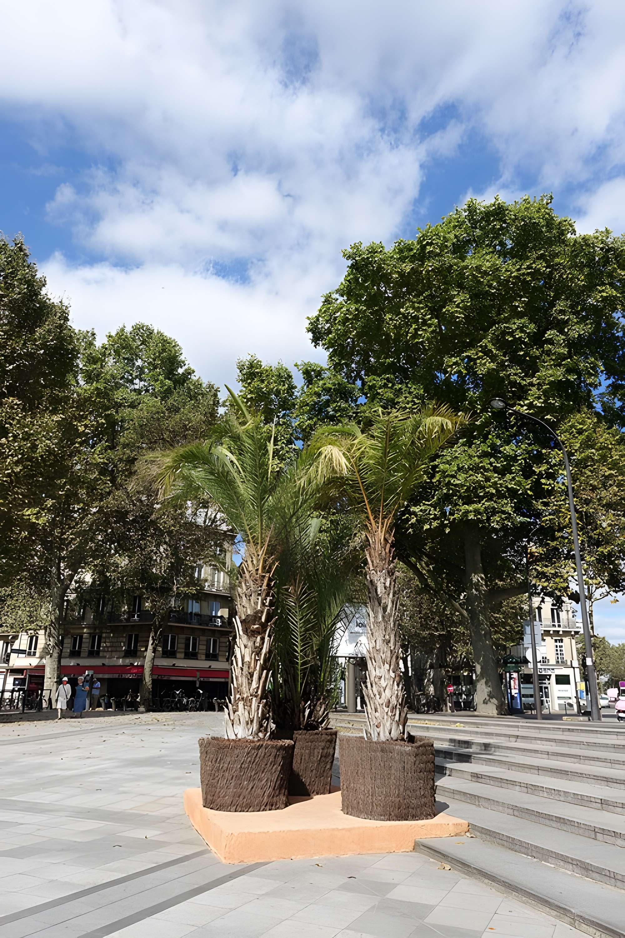 Musée de l'Institut du monde arabe
