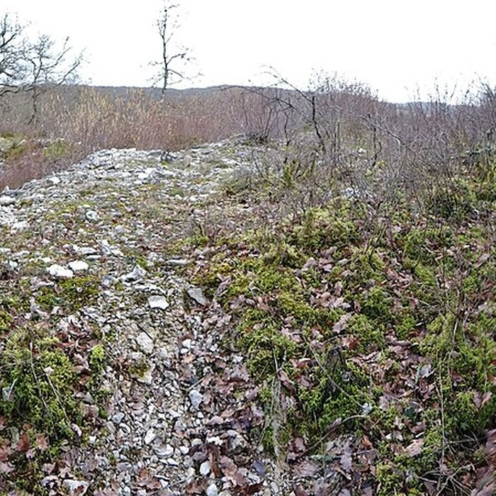 Photo de Tumulus de Tormancy à LIsle-sur-Serein