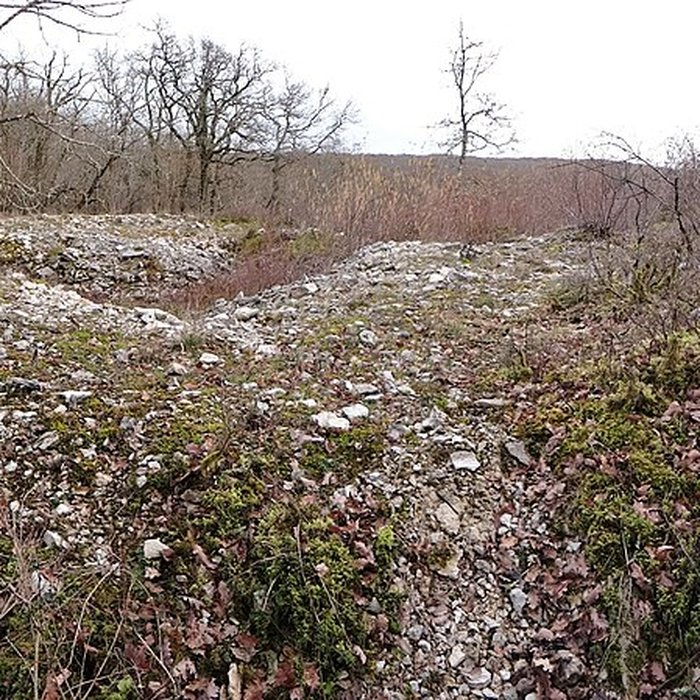 Photo de Tumulus de Tormancy à LIsle-sur-Serein