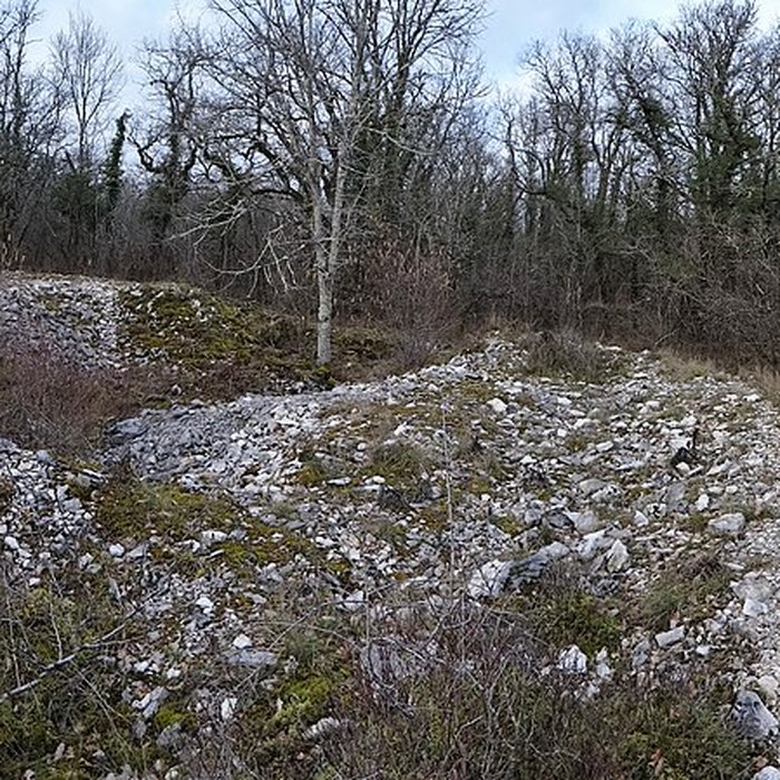 Photo de Tumulus de Tormancy à LIsle-sur-Serein