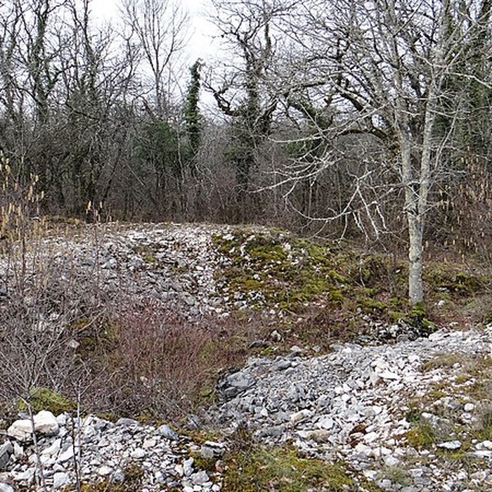 Photo de Tumulus de Tormancy à LIsle-sur-Serein