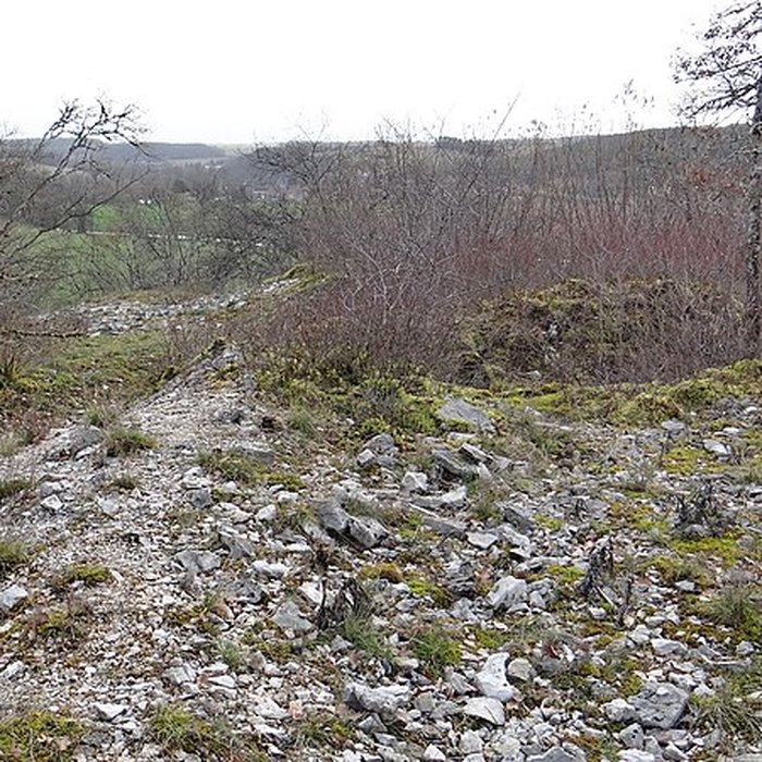 Photo de Tumulus de Tormancy à LIsle-sur-Serein