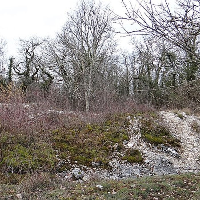 Photo de Tumulus de Tormancy à LIsle-sur-Serein