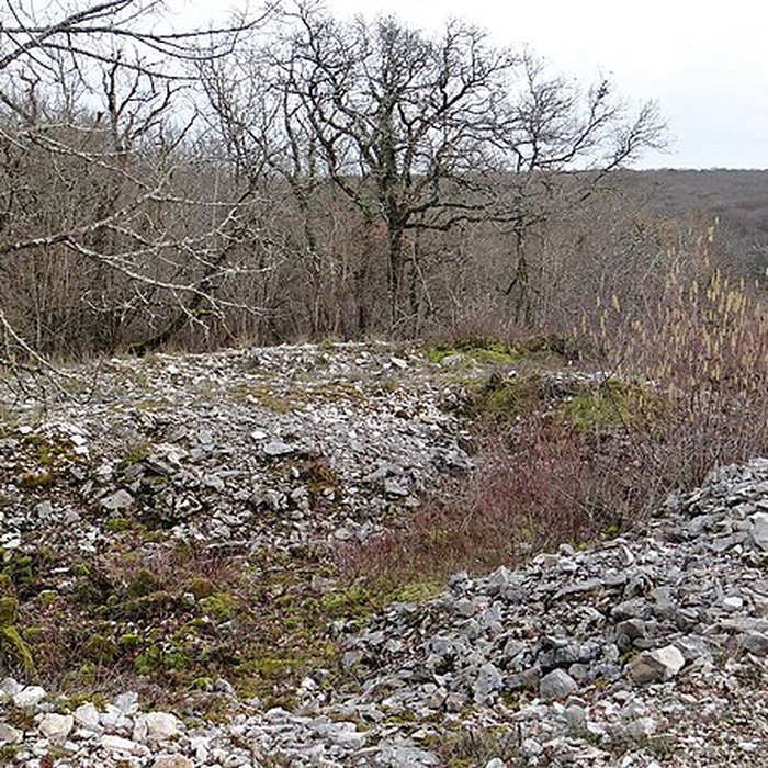 Photo de Tumulus de Tormancy à LIsle-sur-Serein