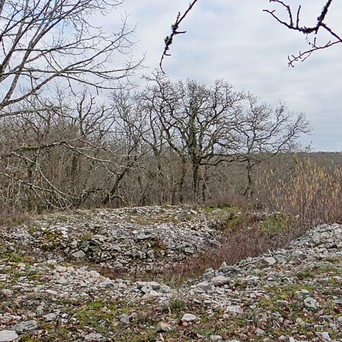 Photo de Tumulus de Tormancy à LIsle-sur-Serein