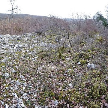 Tumulus de Tormancy à LIsle-sur-Serein