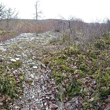 Tumulus de Tormancy à LIsle-sur-Serein