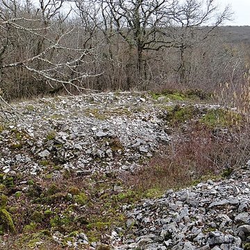 Tumulus de Tormancy à LIsle-sur-Serein