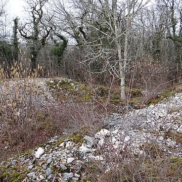 Tumulus de Tormancy à LIsle-sur-Serein