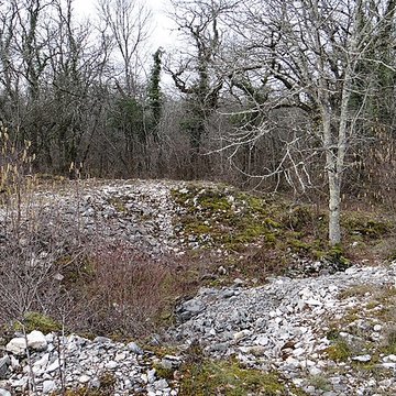 Tumulus de Tormancy à LIsle-sur-Serein