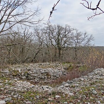 Tumulus de Tormancy à LIsle-sur-Serein