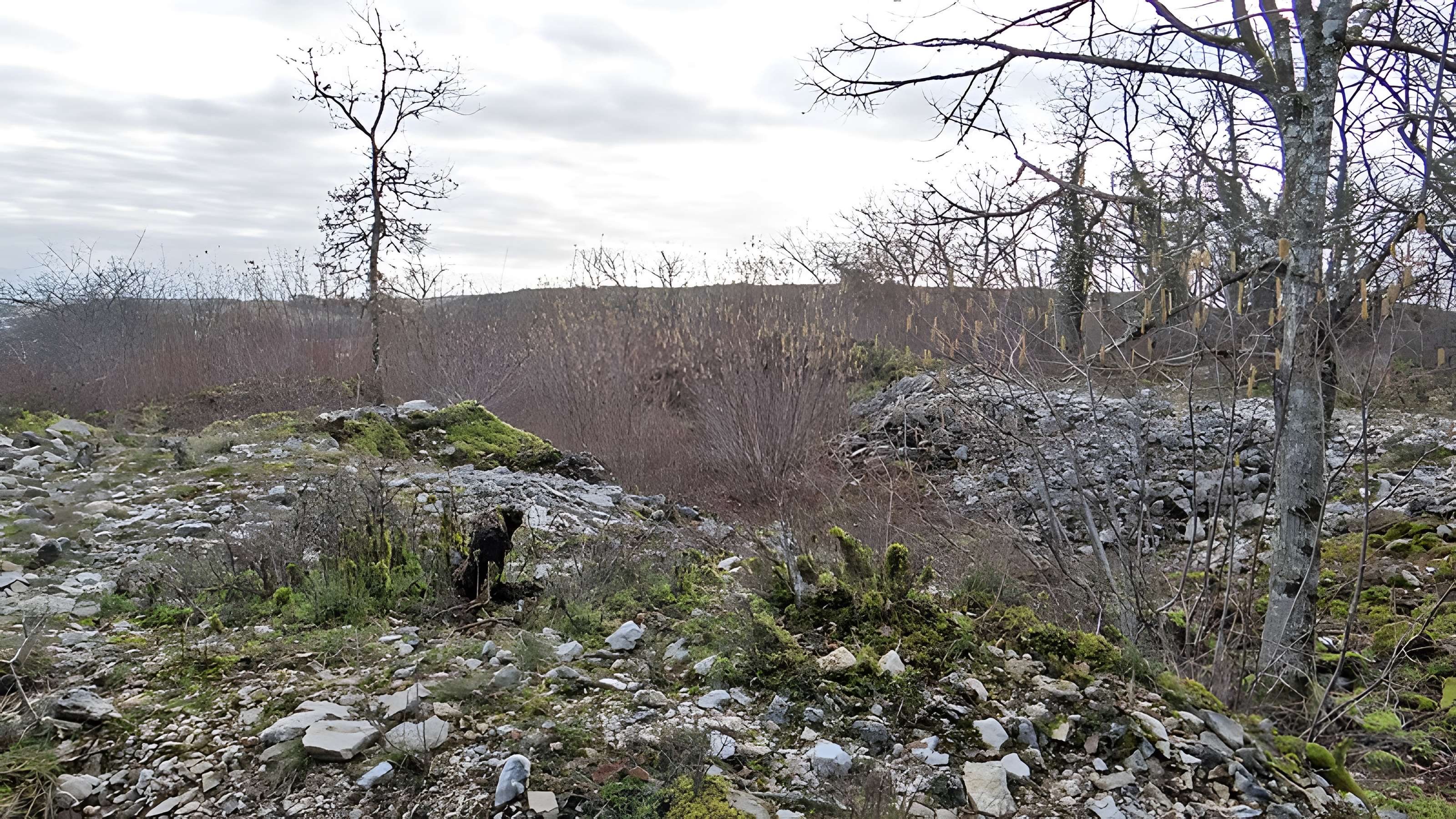 Tumulus de Tormancy à L'Isle-sur-Serein