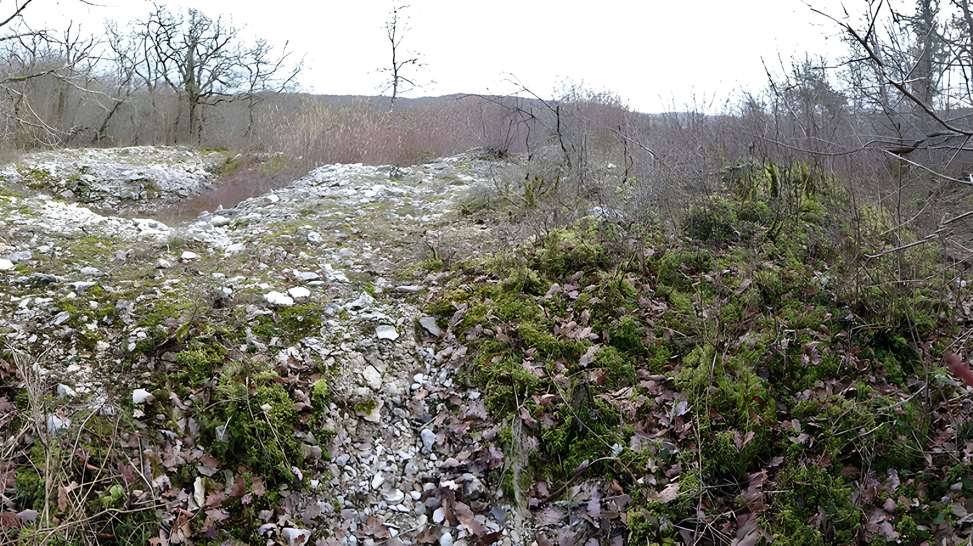 Tumulus de Tormancy à L'Isle-sur-Serein