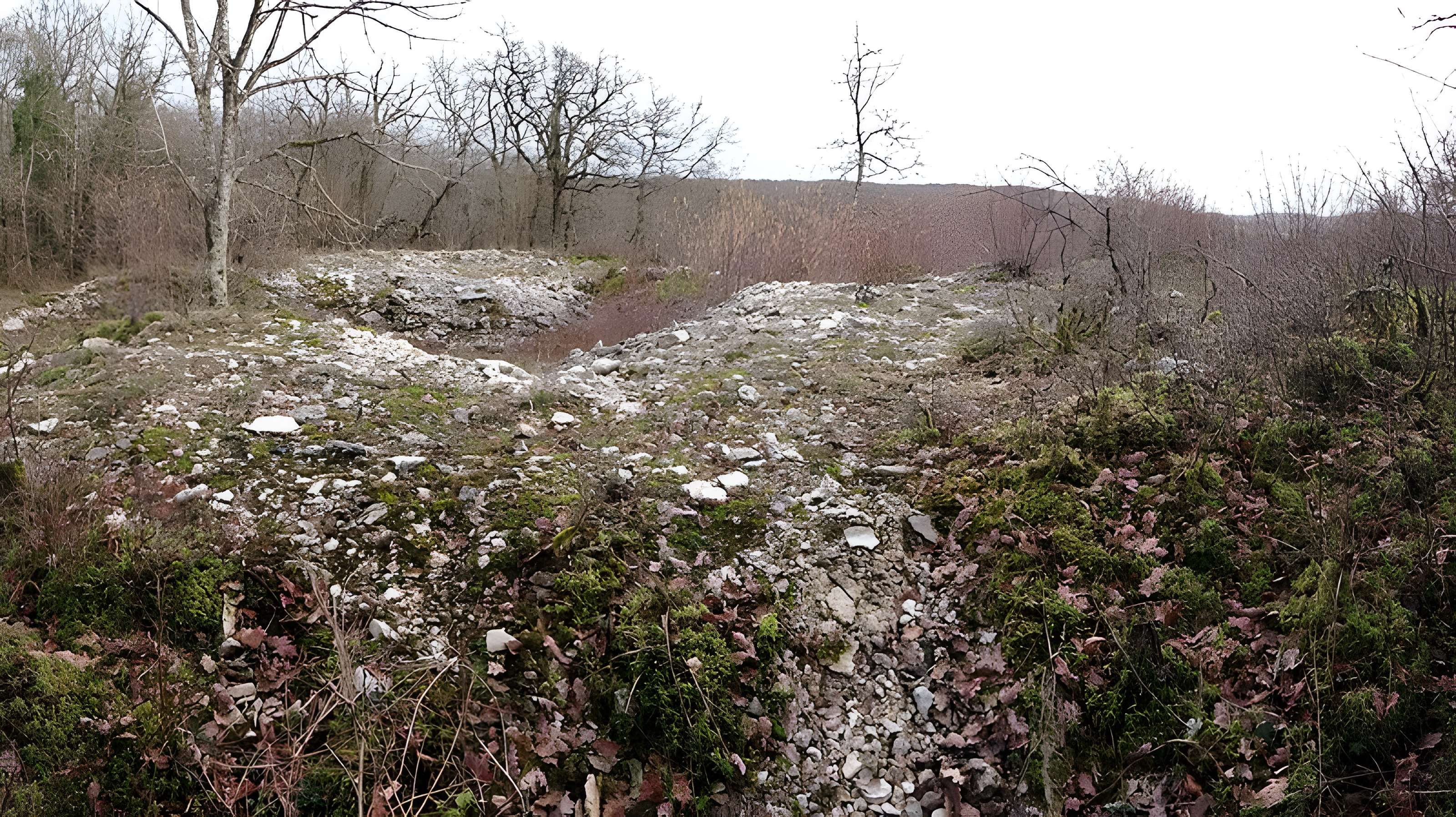 Tumulus de Tormancy à L'Isle-sur-Serein