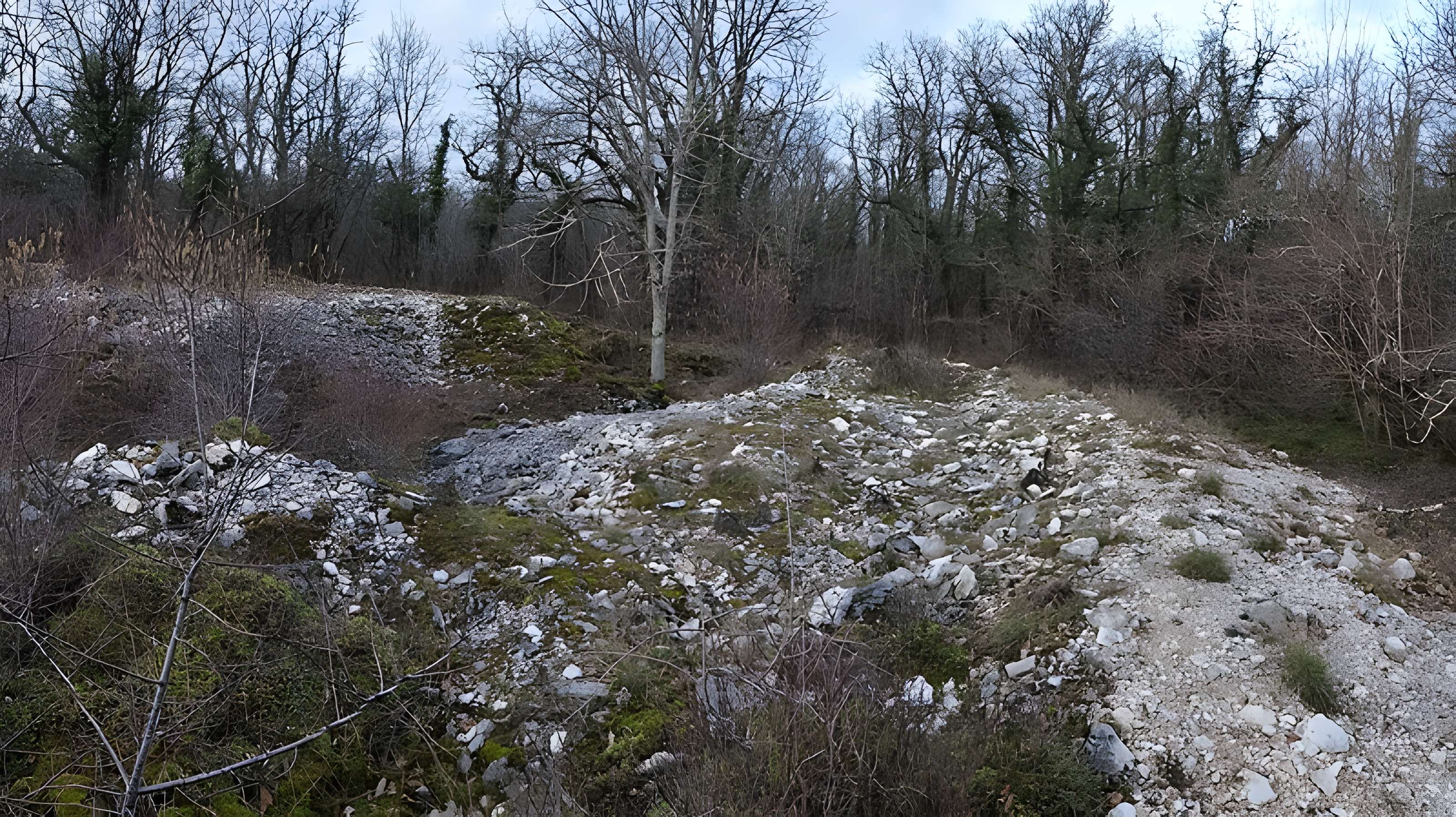 Tumulus de Tormancy à L'Isle-sur-Serein