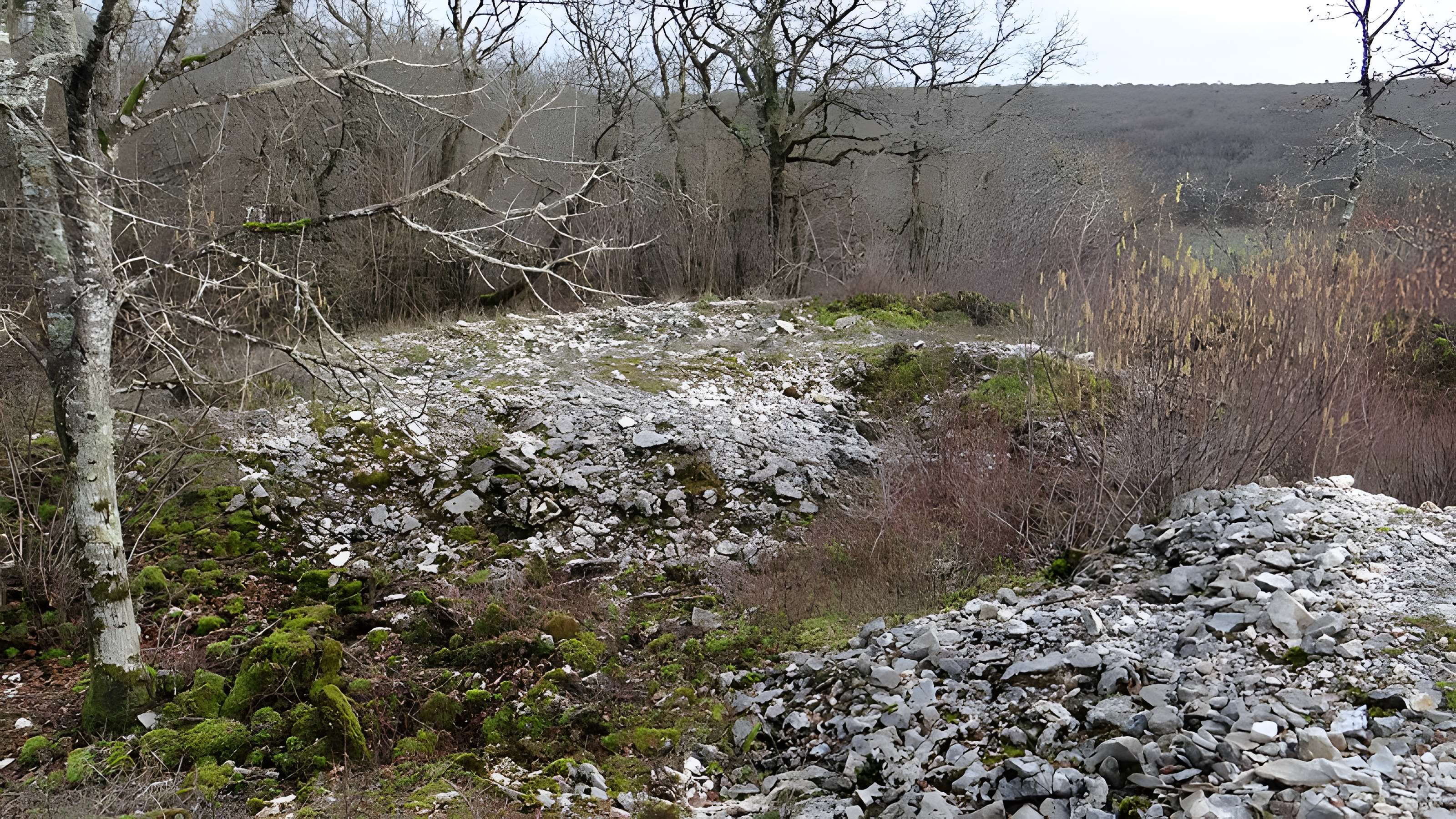 Tumulus de Tormancy à L'Isle-sur-Serein