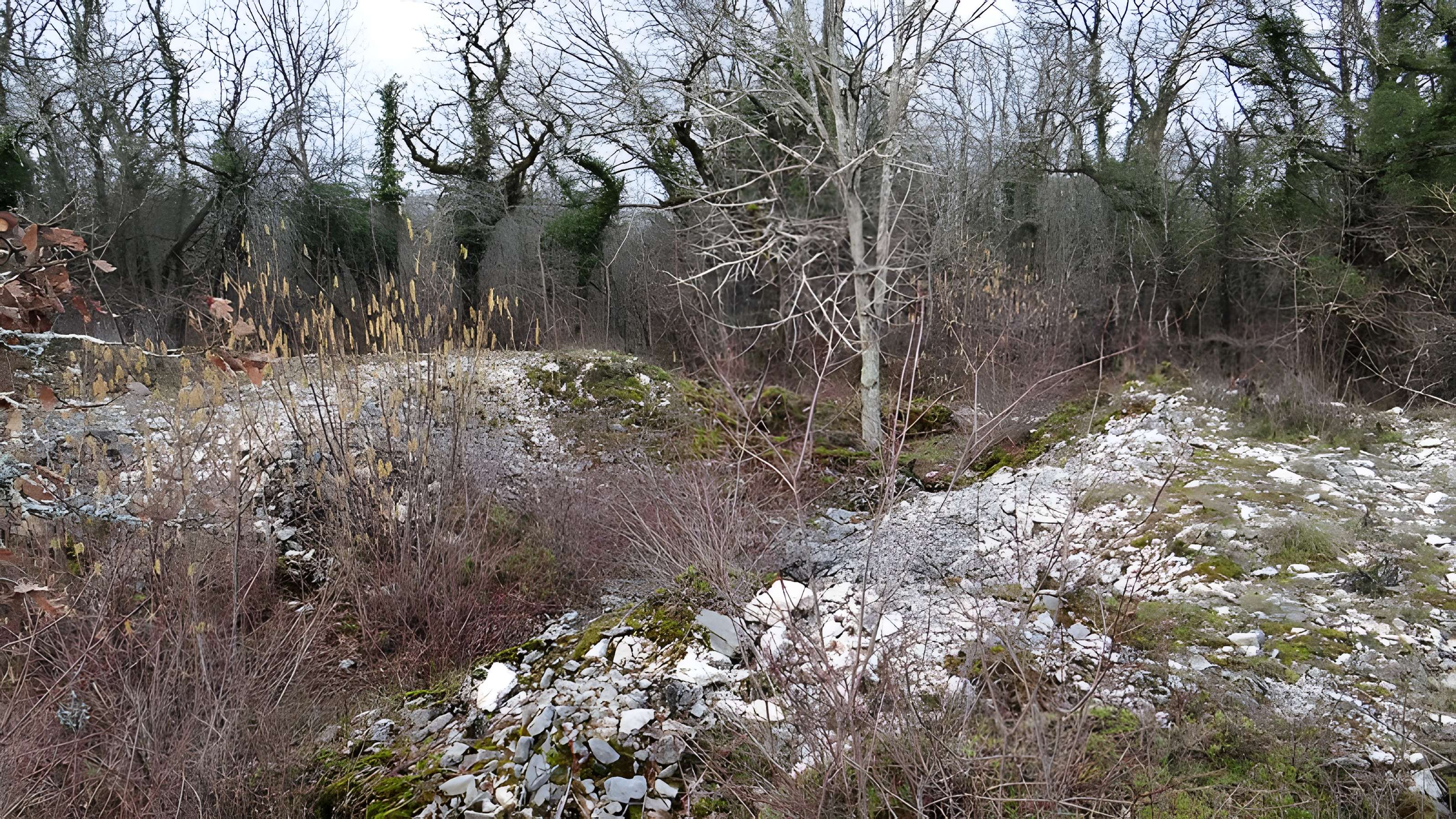 Tumulus de Tormancy à L'Isle-sur-Serein