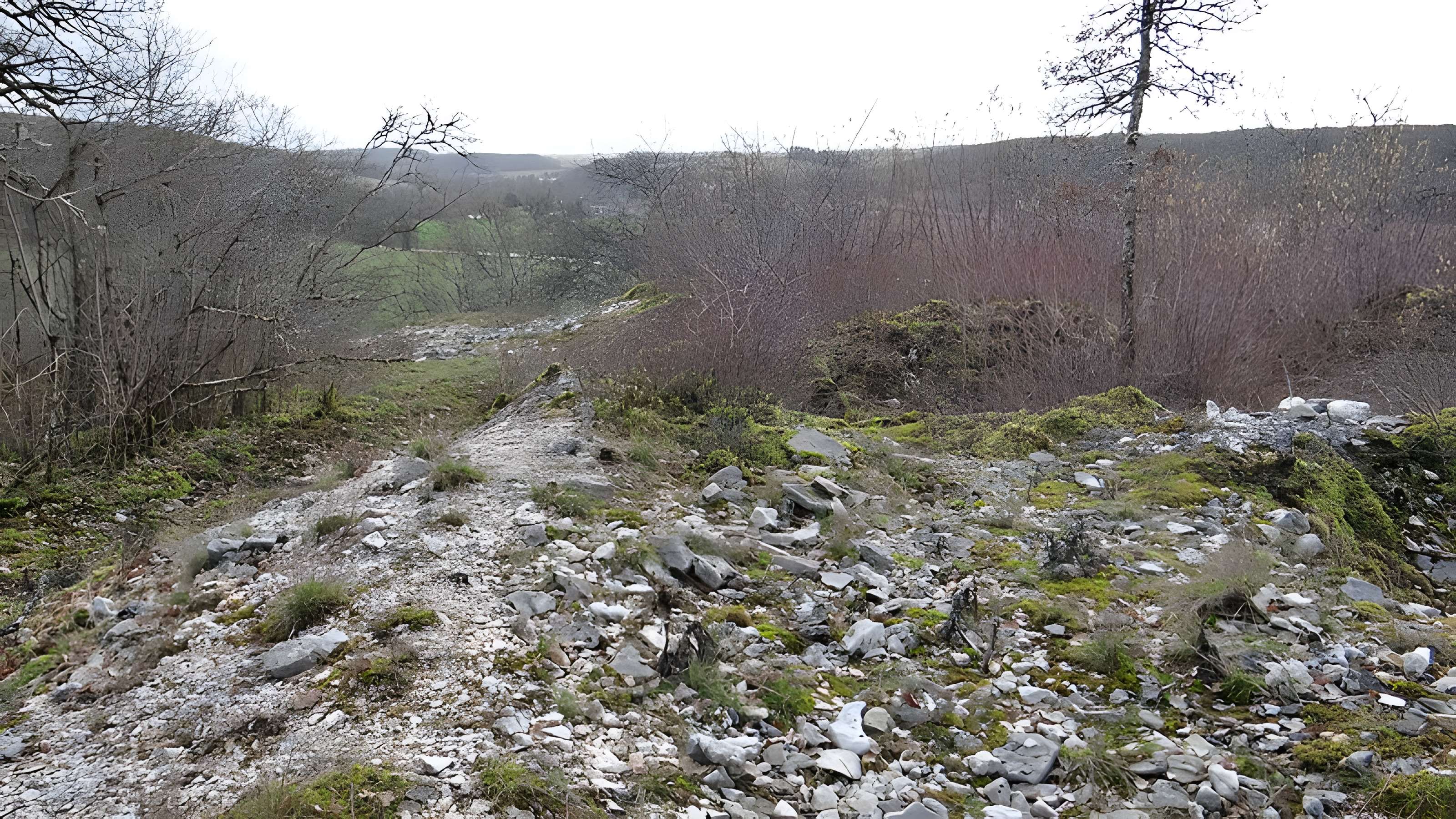 Tumulus de Tormancy à L'Isle-sur-Serein
