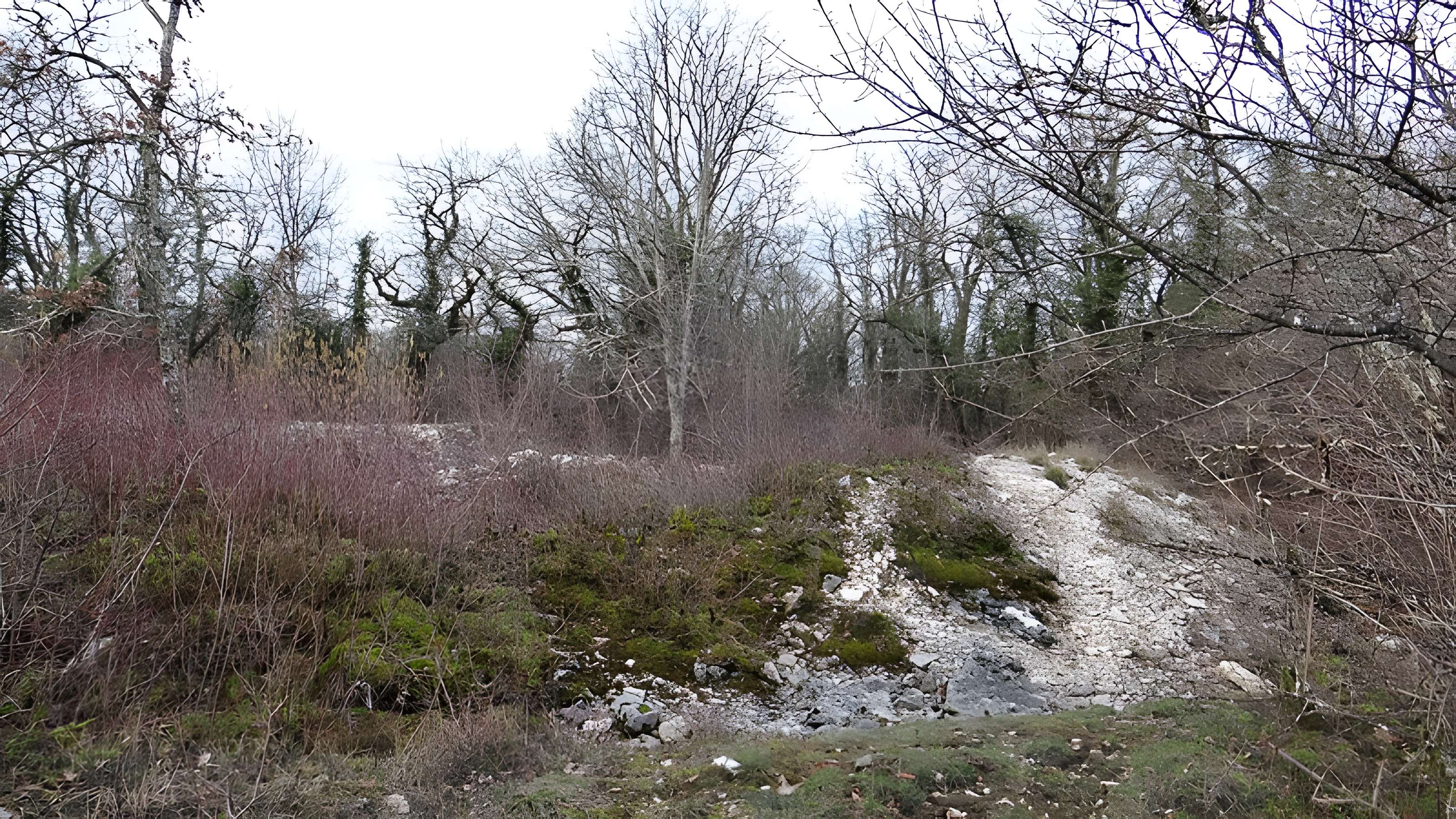 Tumulus de Tormancy à L'Isle-sur-Serein