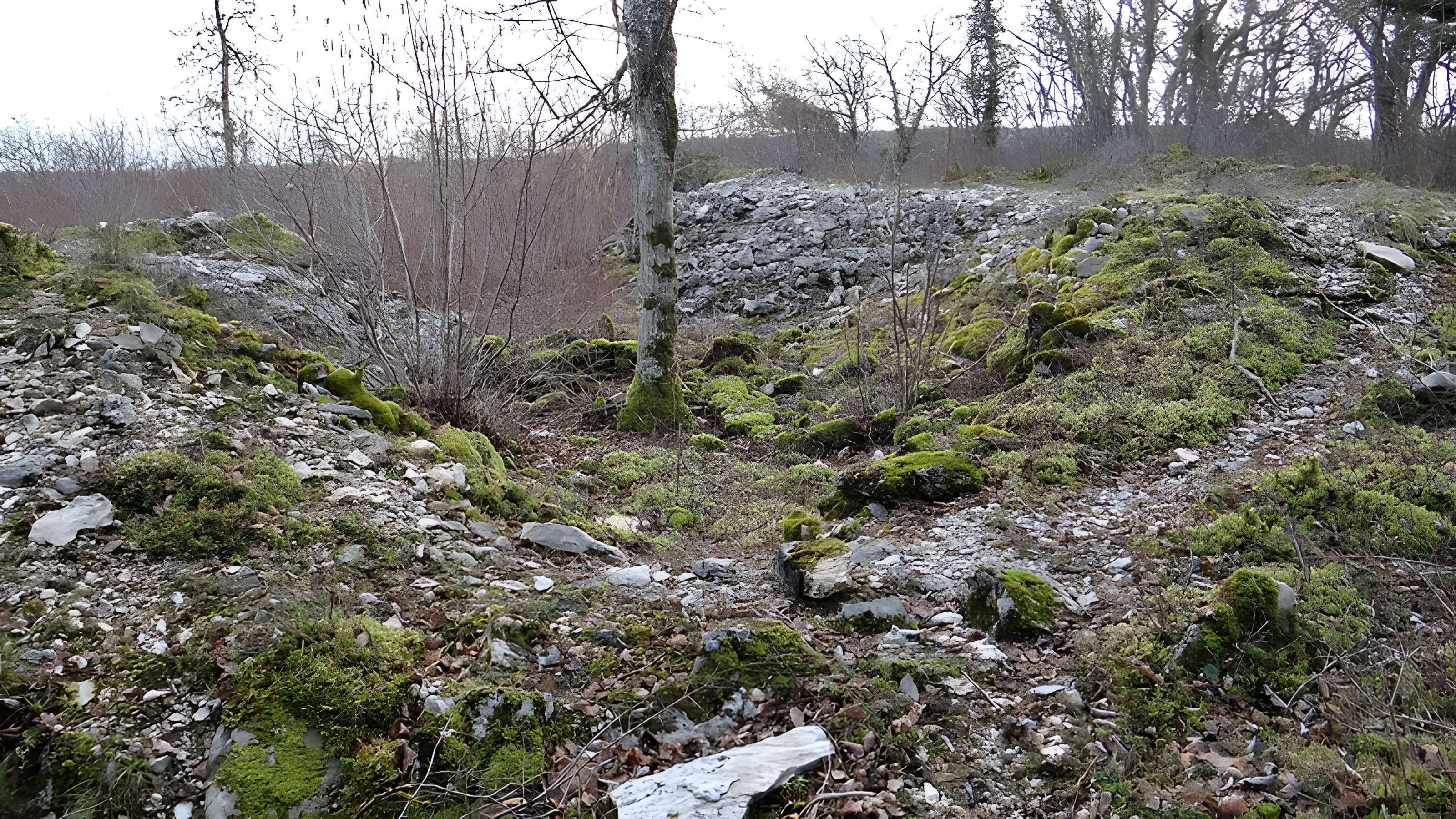Tumulus de Tormancy à L'Isle-sur-Serein