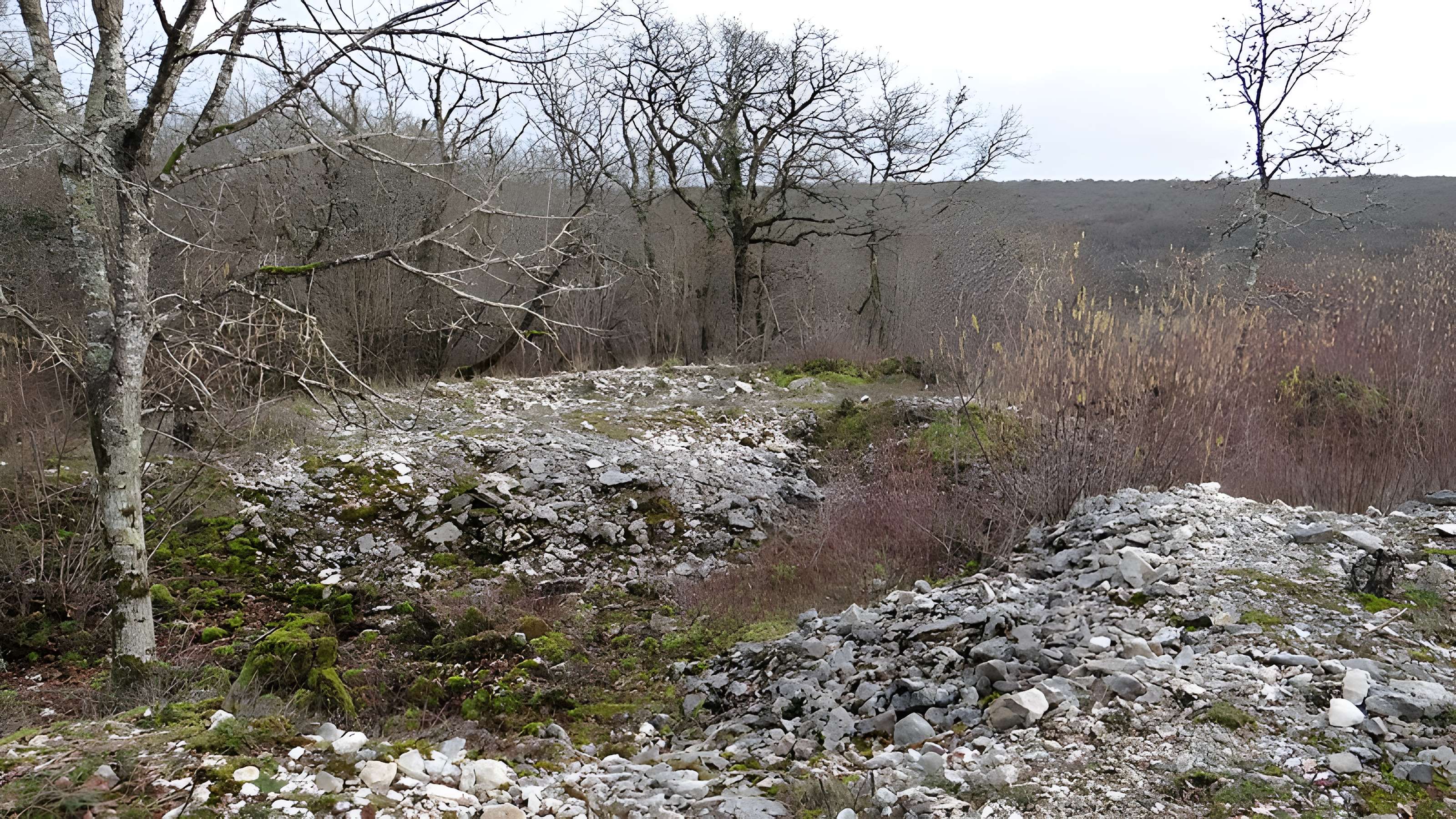 Tumulus de Tormancy à L'Isle-sur-Serein