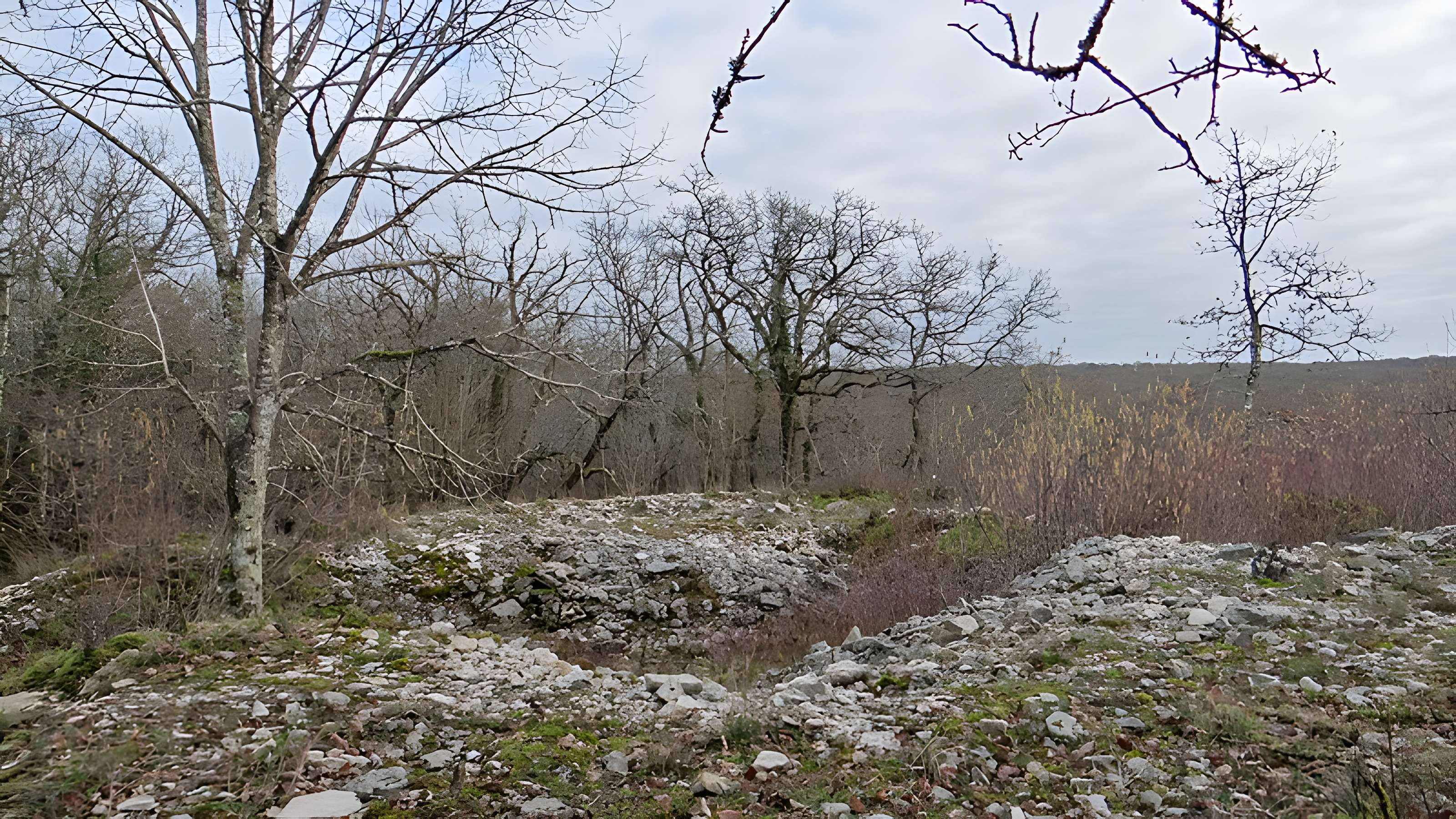 Tumulus de Tormancy à L'Isle-sur-Serein