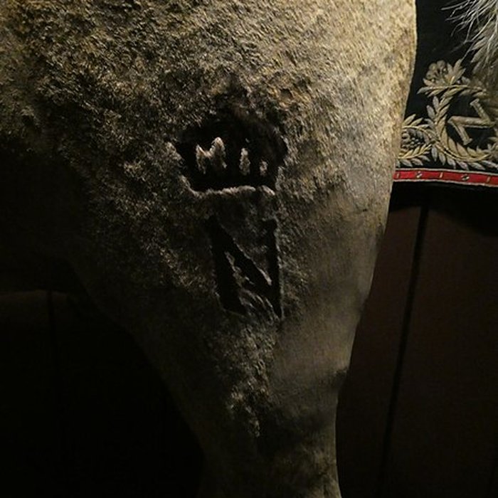 Photo de Musée de larmée