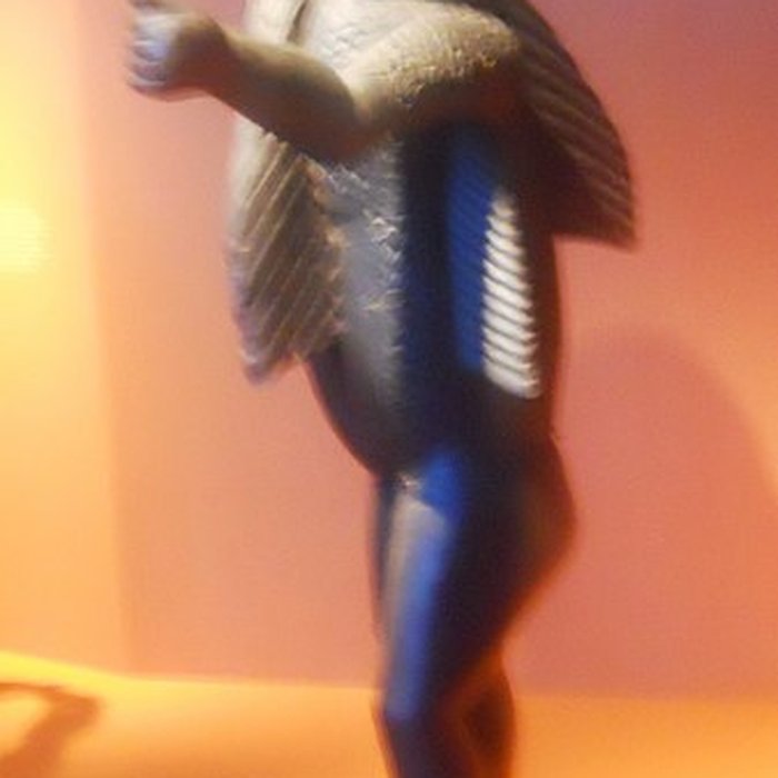 Photo de Musée du Quai Branly - Jacques Chirac