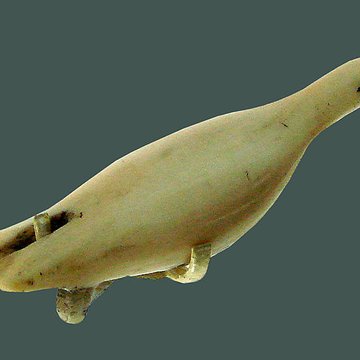 Musée du Quai Branly - Jacques Chirac