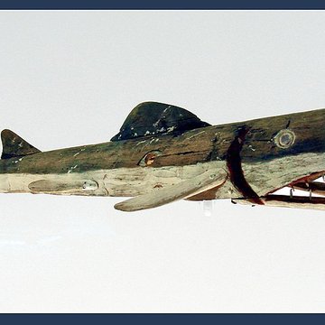 Musée du Quai Branly - Jacques Chirac