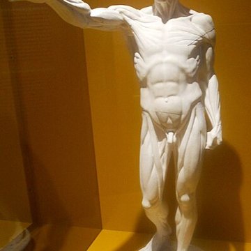 Musée du Quai Branly - Jacques Chirac