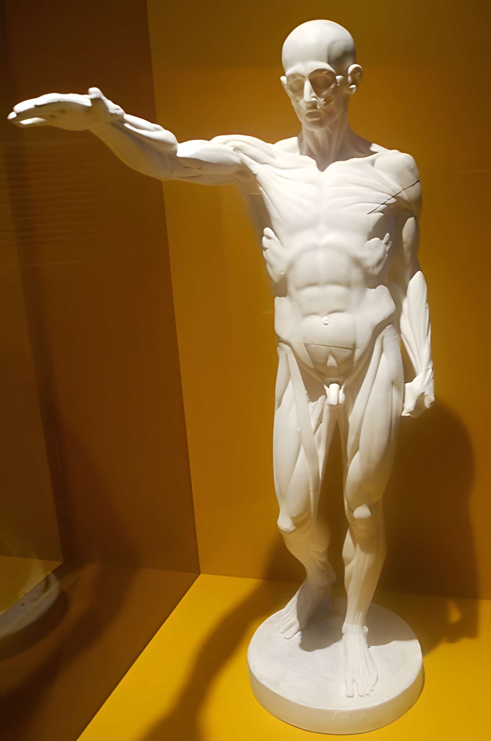 Musée du Quai Branly - Jacques Chirac