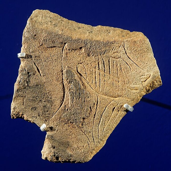 Photo de Musée d’archéologie nationale des origines à l’an mille - Château de Saint-Germain-en-Laye