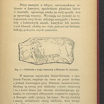 Musée d’archéologie nationale des origines à l’an mille - Château de Saint-Germain-en-Laye