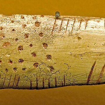 Musée d’archéologie nationale des origines à l’an mille - Château de Saint-Germain-en-Laye