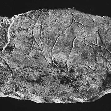 Musée d’archéologie nationale des origines à l’an mille - Château de Saint-Germain-en-Laye