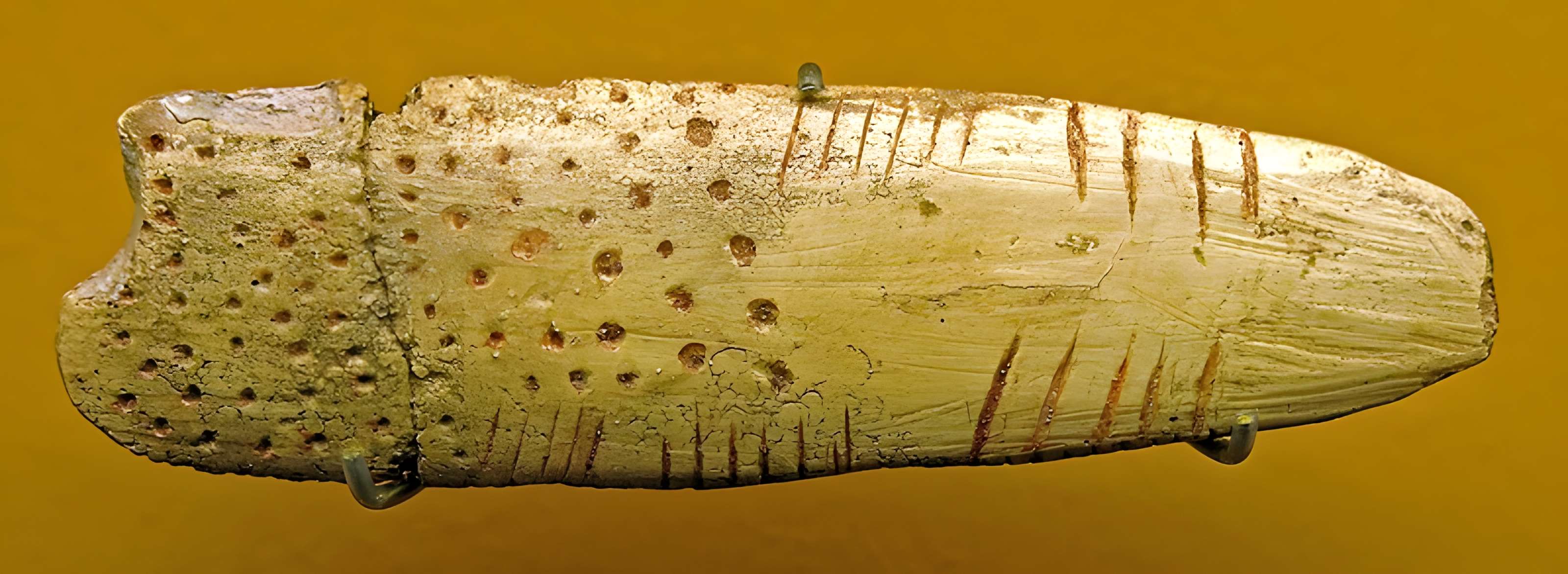 Musée d’archéologie nationale (des origines à l’an mille) - Château de Saint-Germain-en-Laye