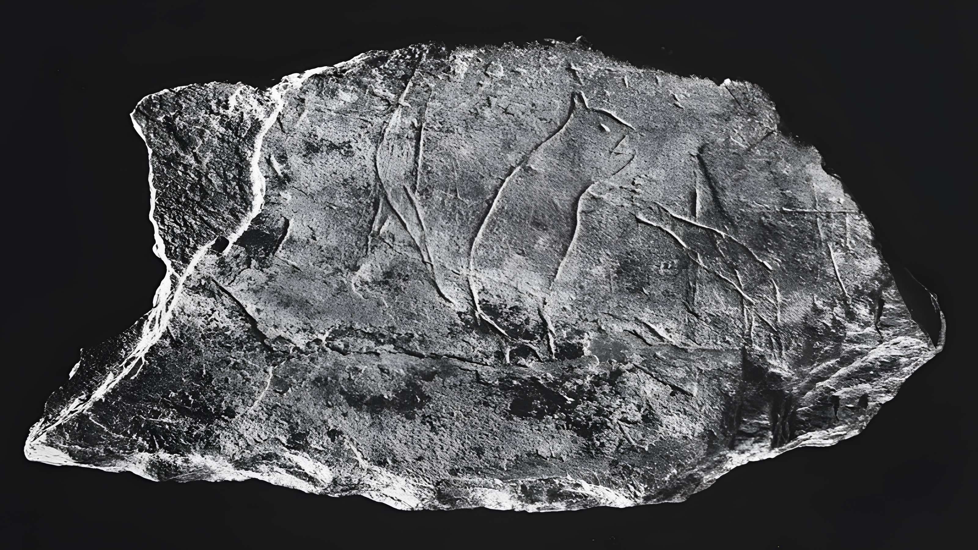 Musée d’archéologie nationale (des origines à l’an mille) - Château de Saint-Germain-en-Laye