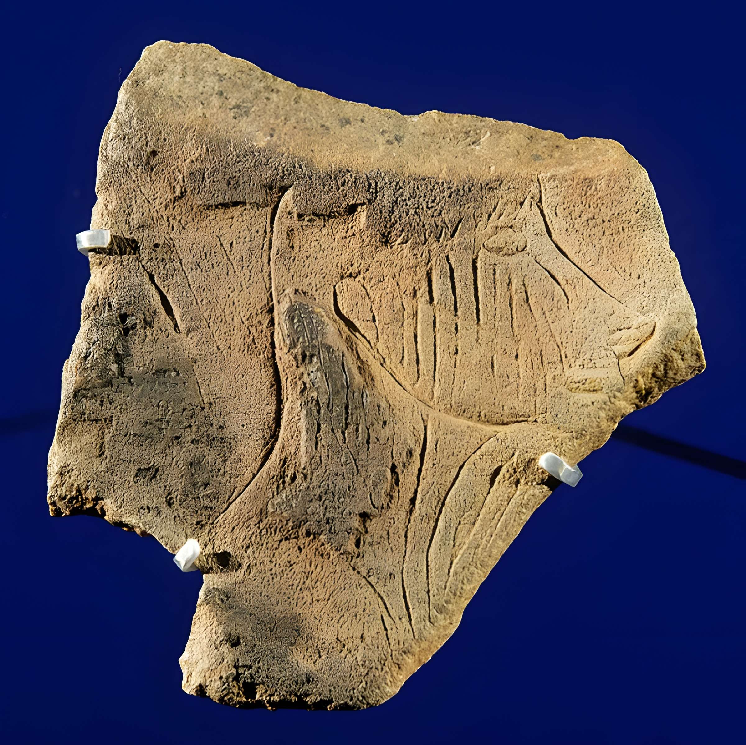 Musée d’archéologie nationale (des origines à l’an mille) - Château de Saint-Germain-en-Laye
