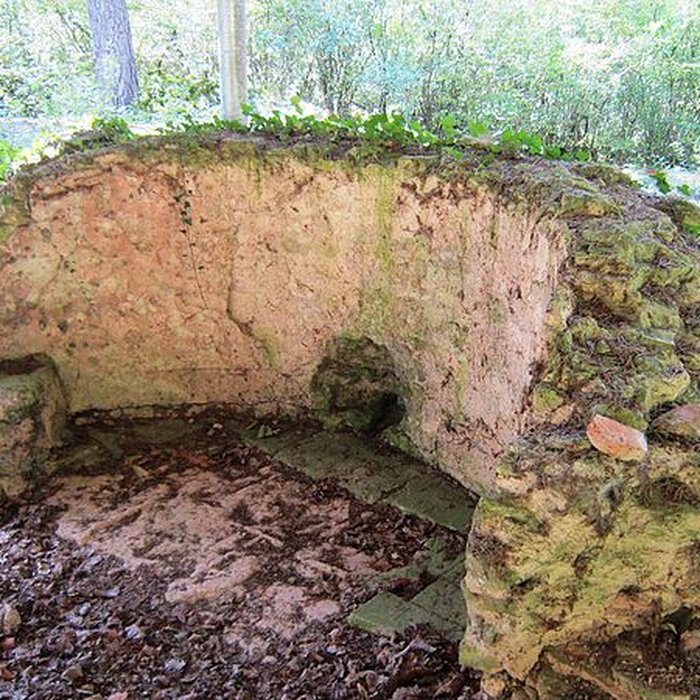 Photo de Vertillum de Vertault