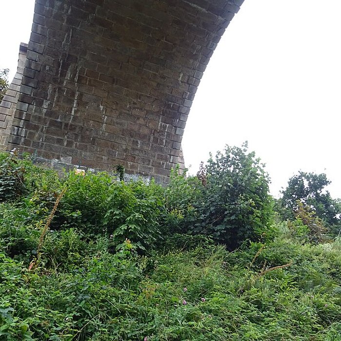 Photo de Viaduc de Morlaix