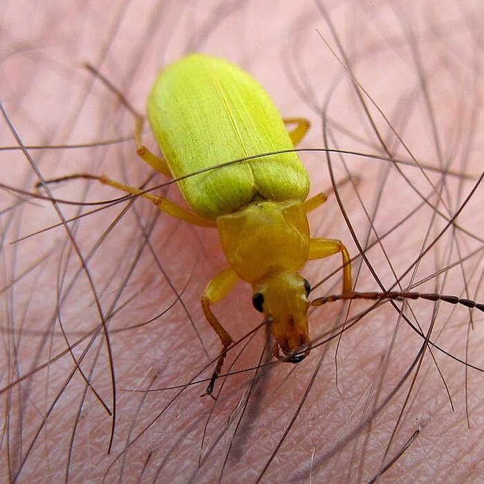Photo de Viaduc Séjourné à Fontpédrouse