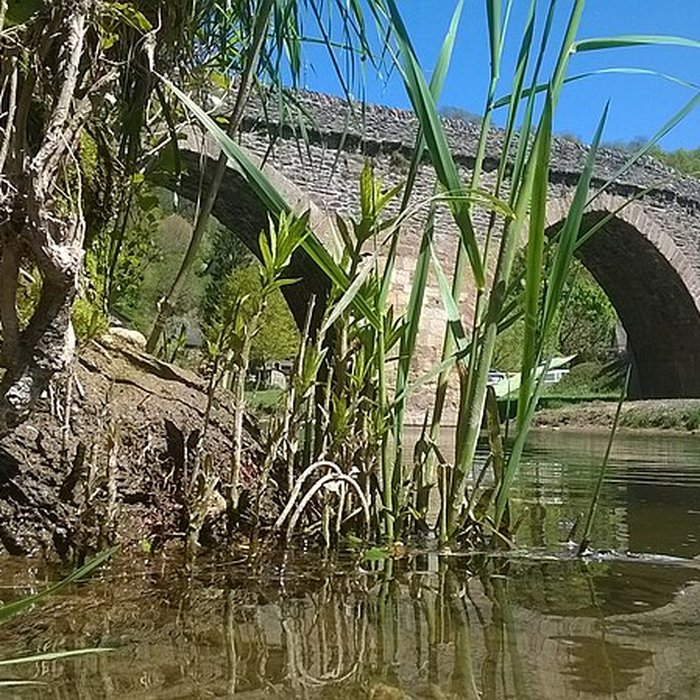 Photo de Vieux Pont de Belcastel