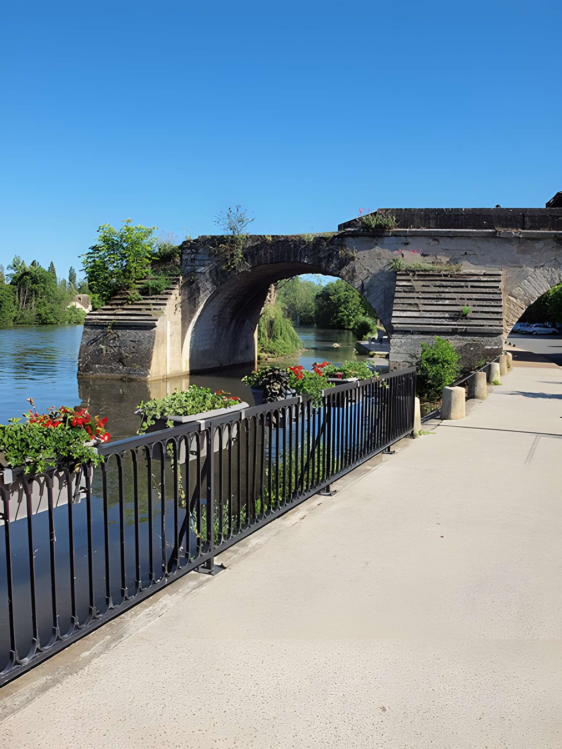 Vieux pont de Pont-sur-Yonne