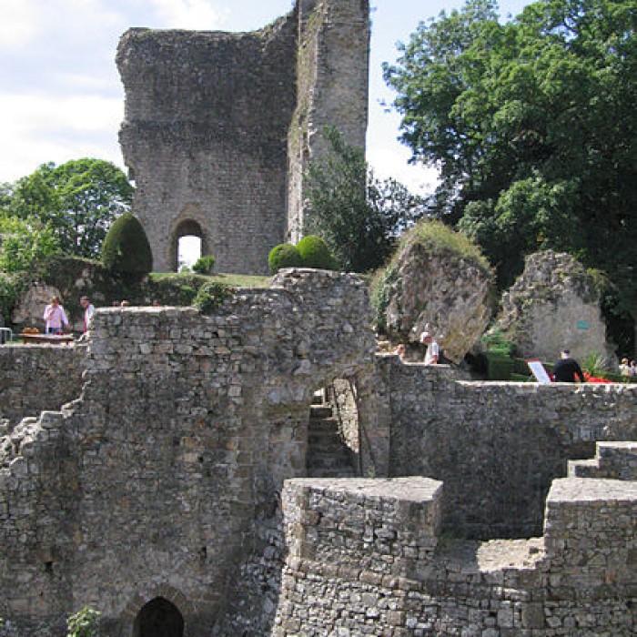 Photo de Château de Domfront